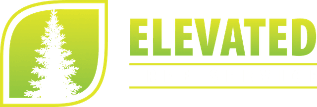 Elevated Tree Service
