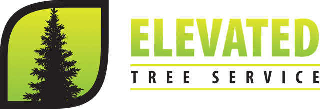 Elevated Tree Service