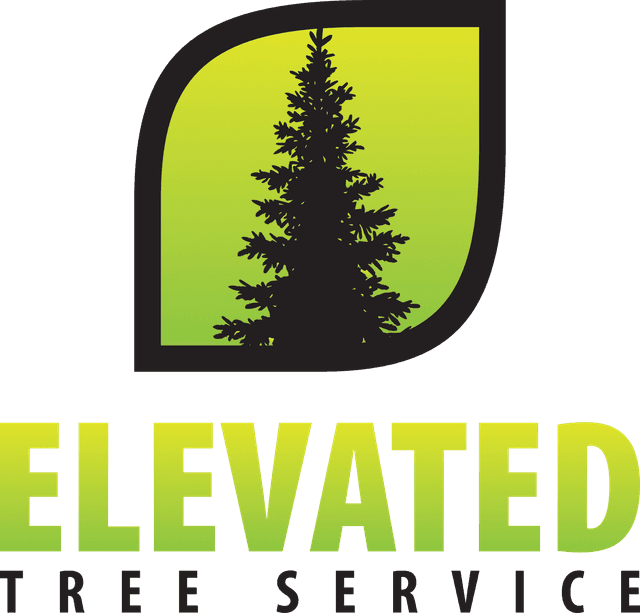 Elevated Tree Service